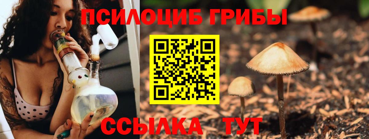 что такое   Псилоцибиновые грибы ЛСД  Псилоцибиновые грибы прущие грибы  Вход с VPN  Елец 