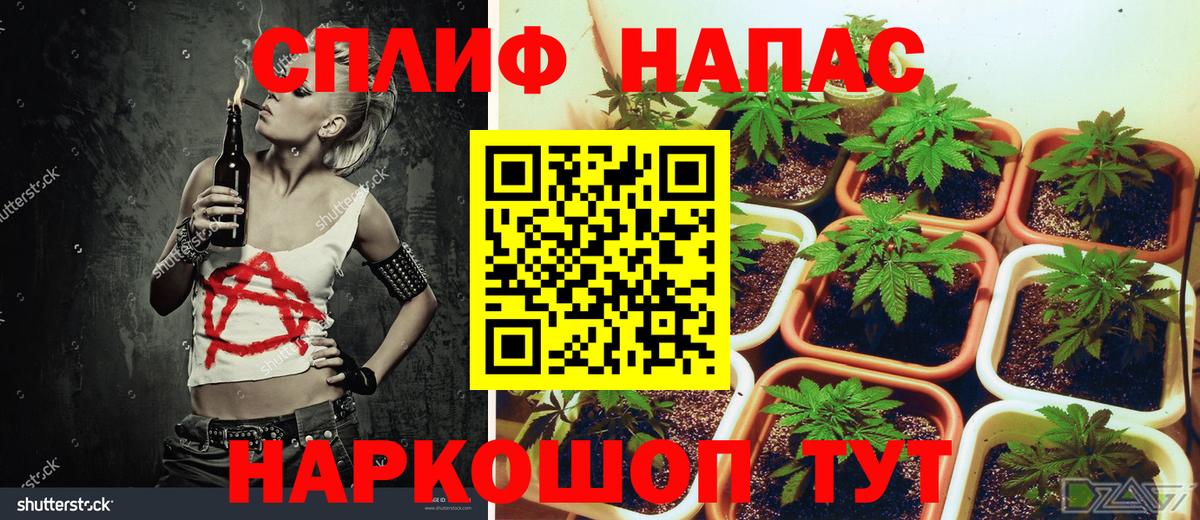 Бошки марихуана Ganja  Бошки марихуана тримм  Вход с VPN  Канабис OG Kush  Елец  Конопля THC 21% 